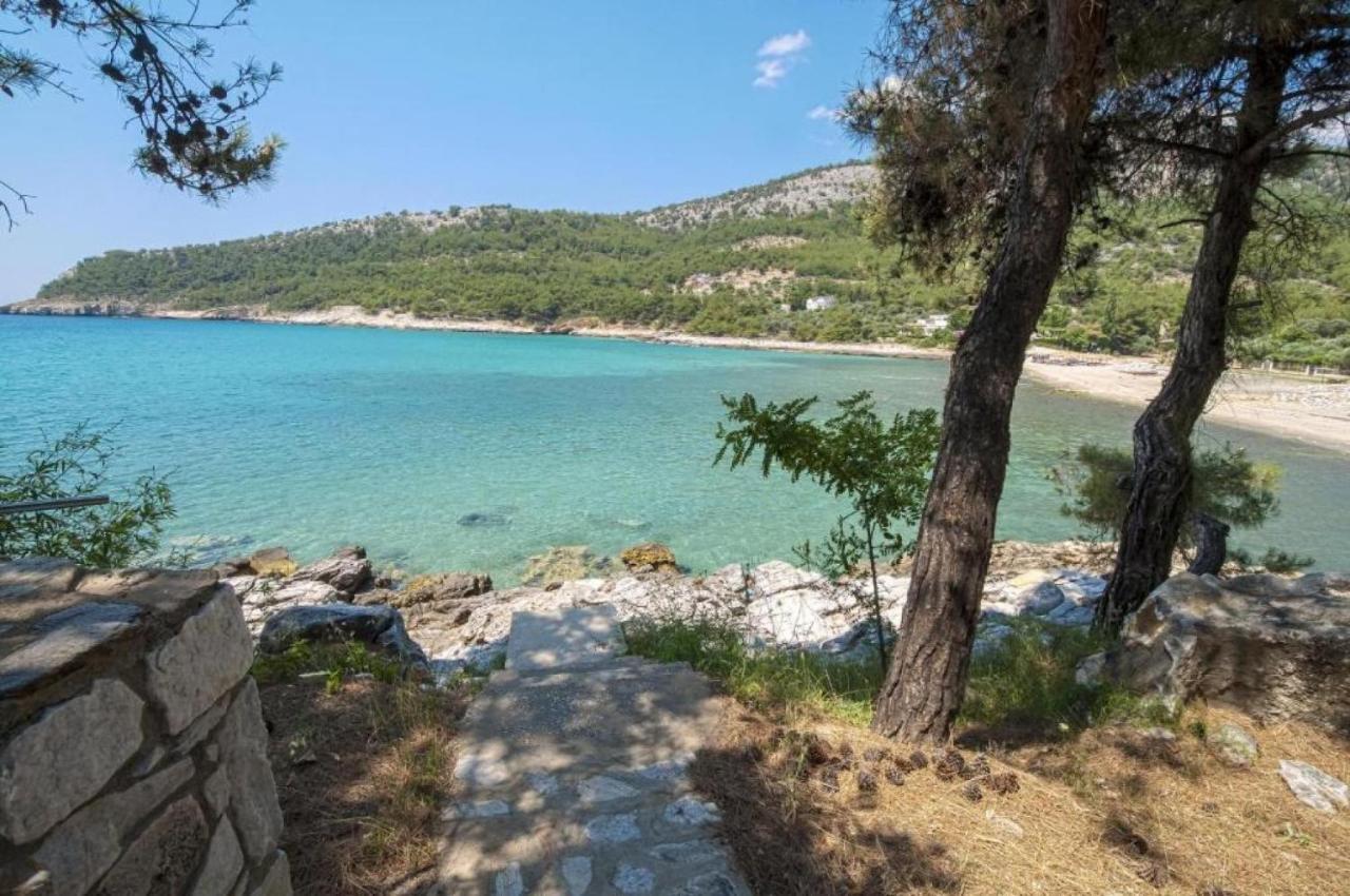 Apartment Petra Mare