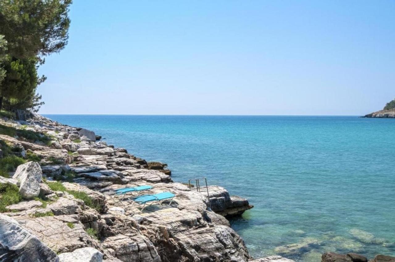 Διαμέρισμα Petra Mare